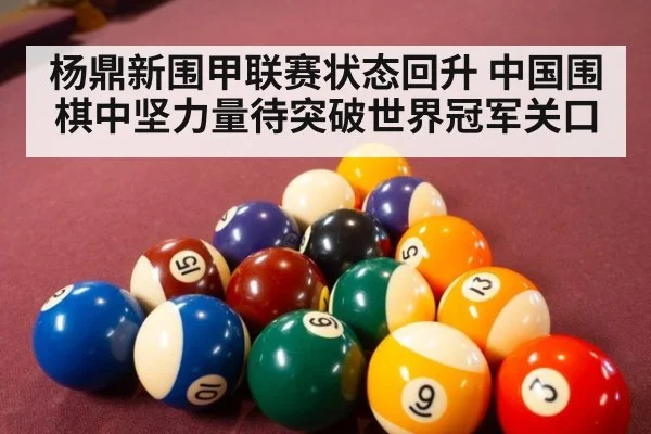 杨鼎新围甲联赛状态回升 中国围棋中坚力量待突破世界冠军关口